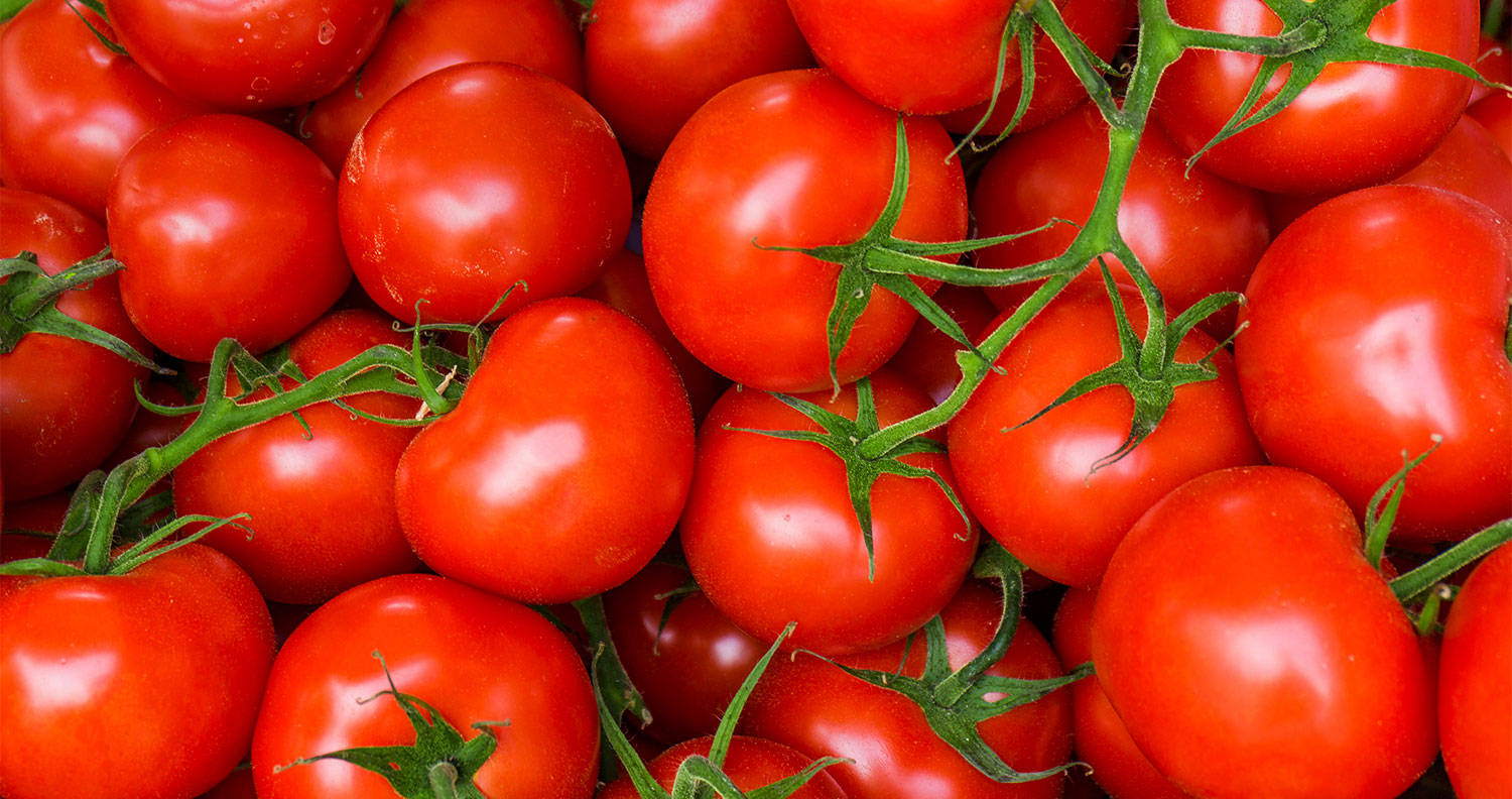 Tomato Puree